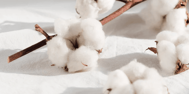Beneficios del algodón pima