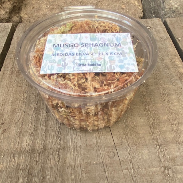 Musgo Sphagnum 1 kg