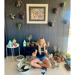 Taller de suculentas on line con set incluido