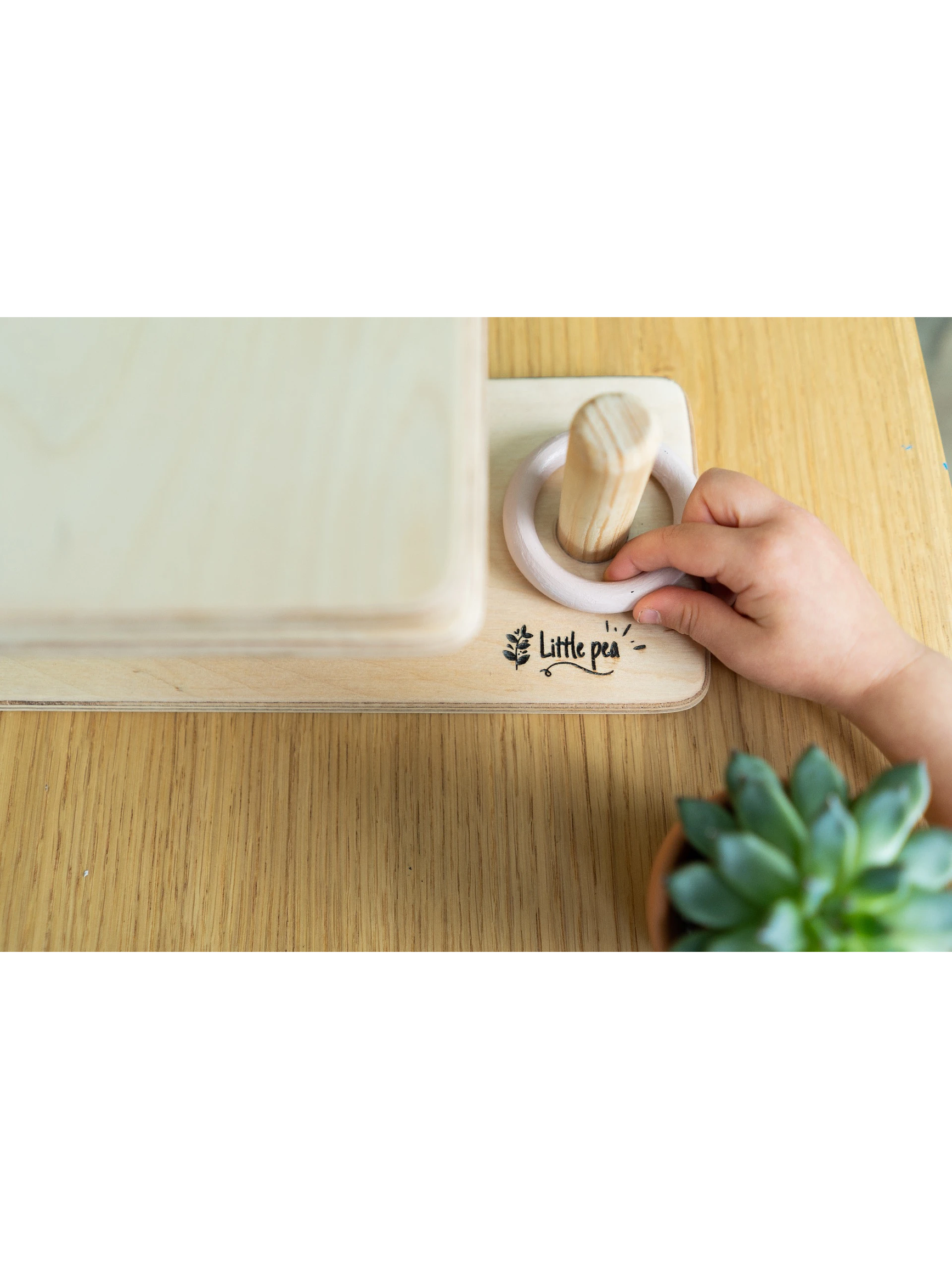 Bagues collectrices 2