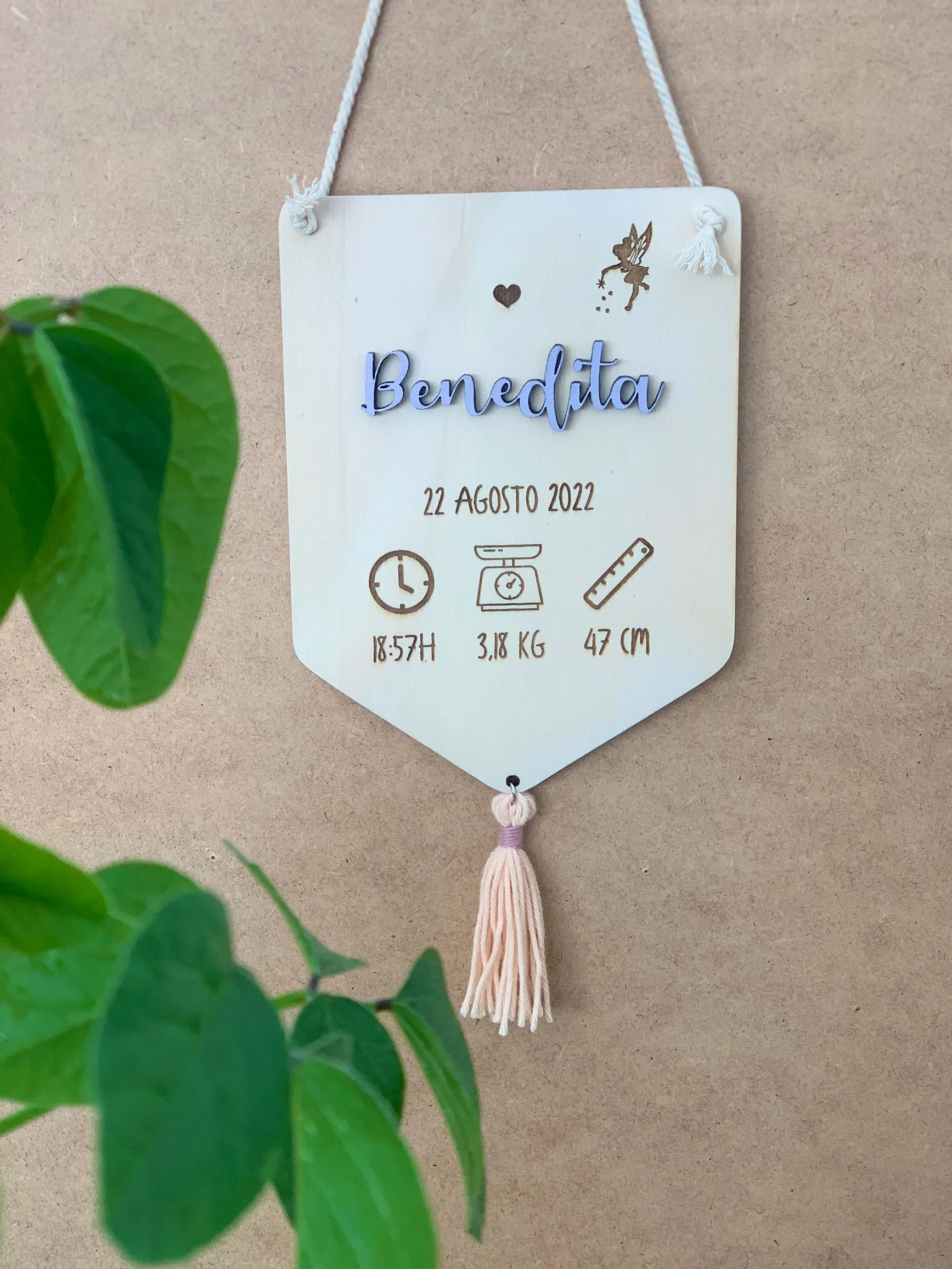 plato de nacimiento 1