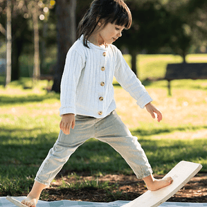 Prancha de equilibrio