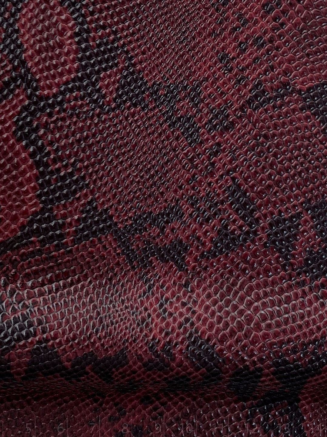 Breve Rosso l PREVENTA  5