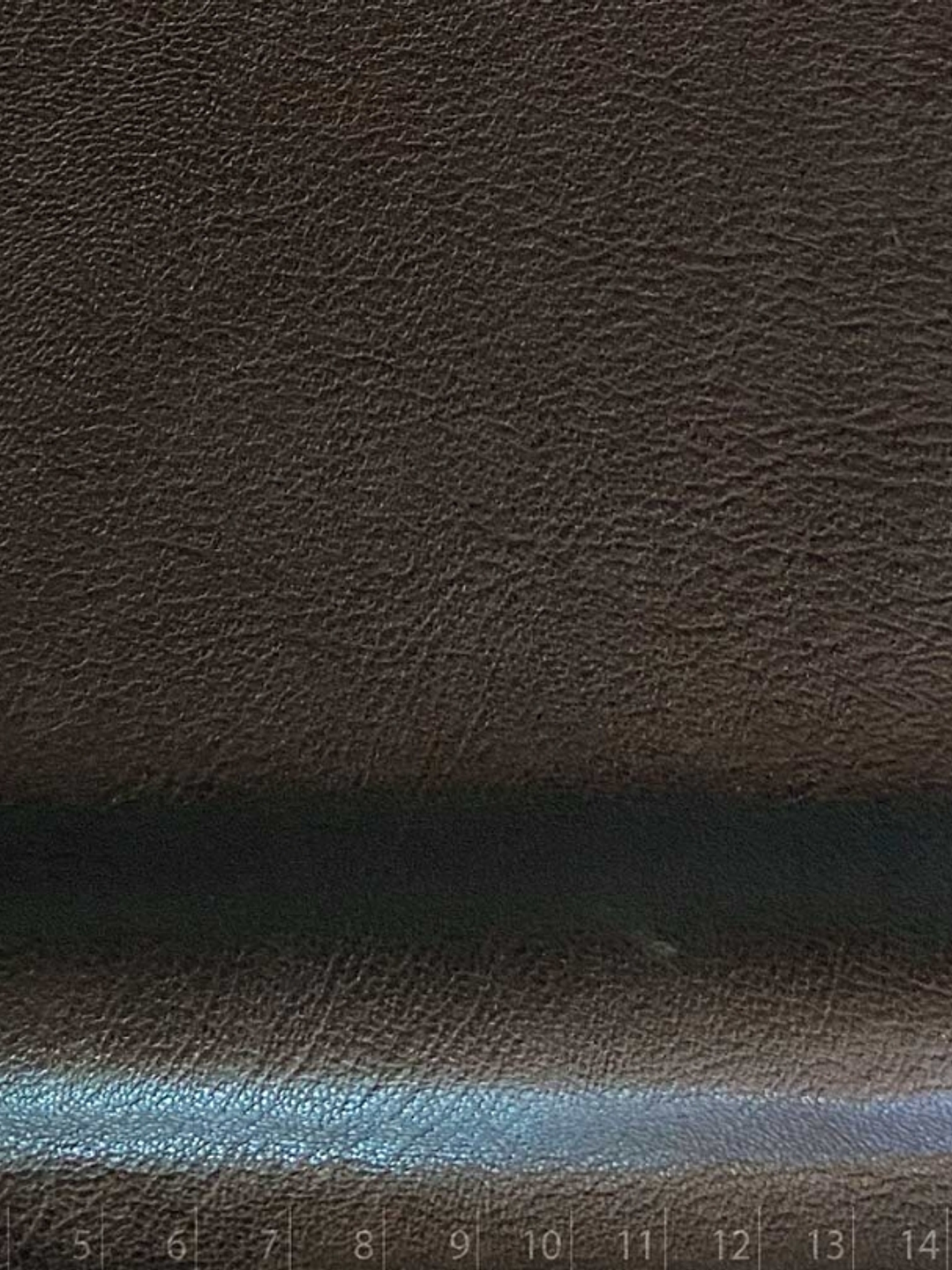 Latte 01 | PREVENTA 13