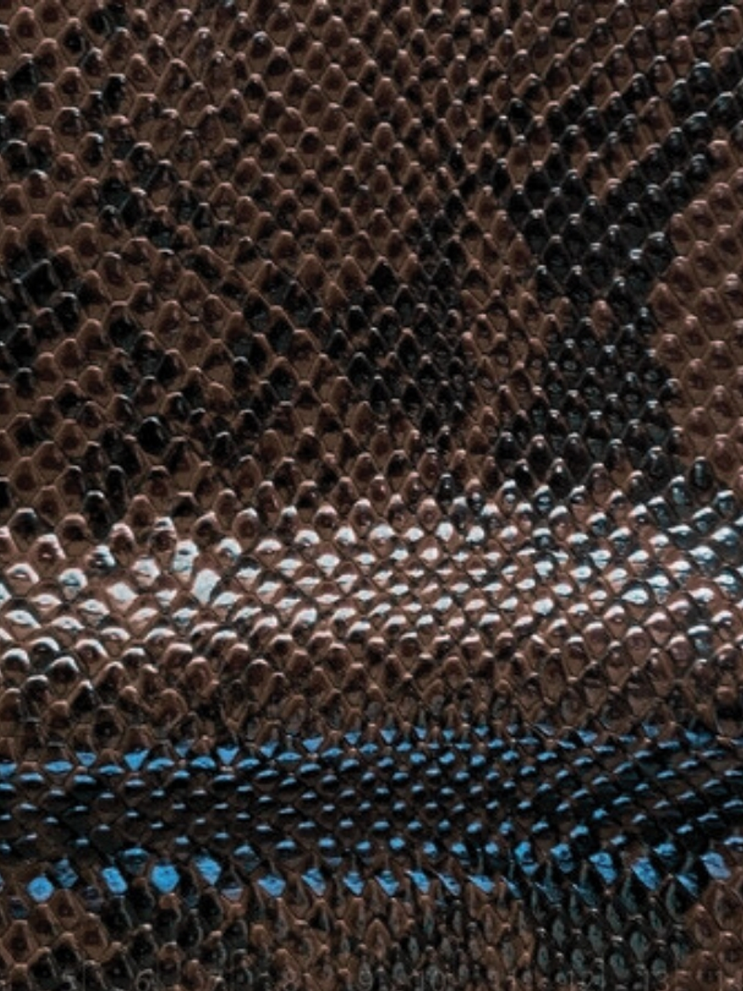 Latte 01 | PREVENTA 10