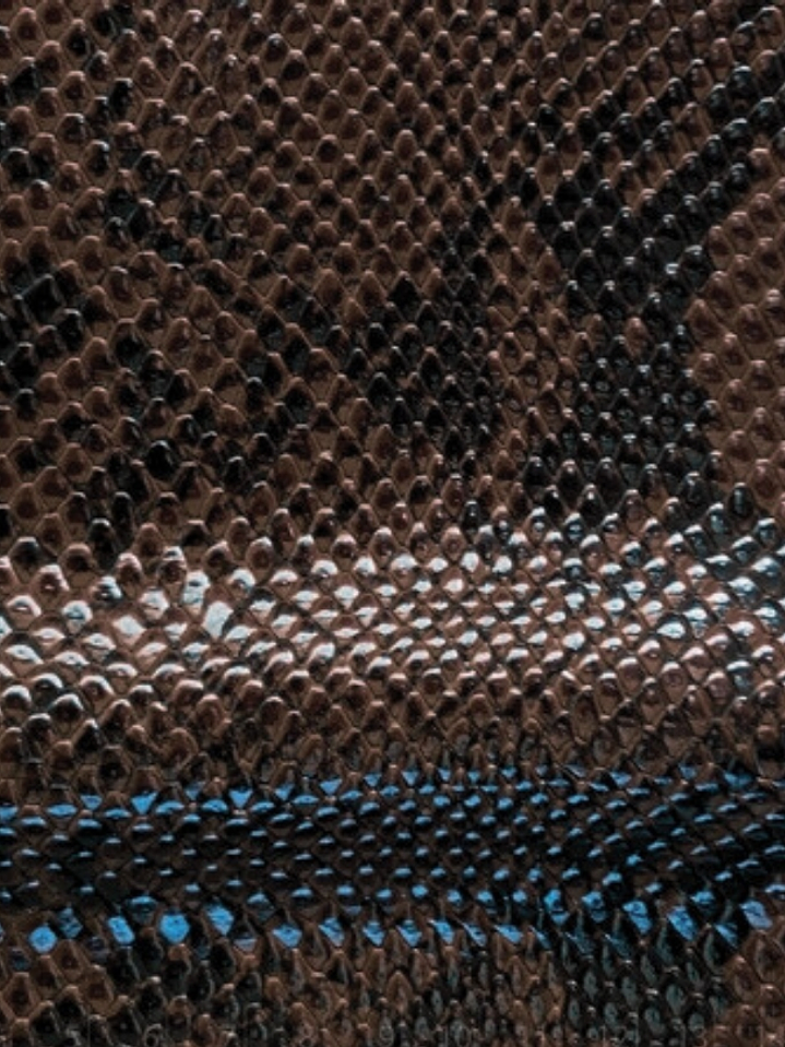 Latte 01 | PREVENTA 10