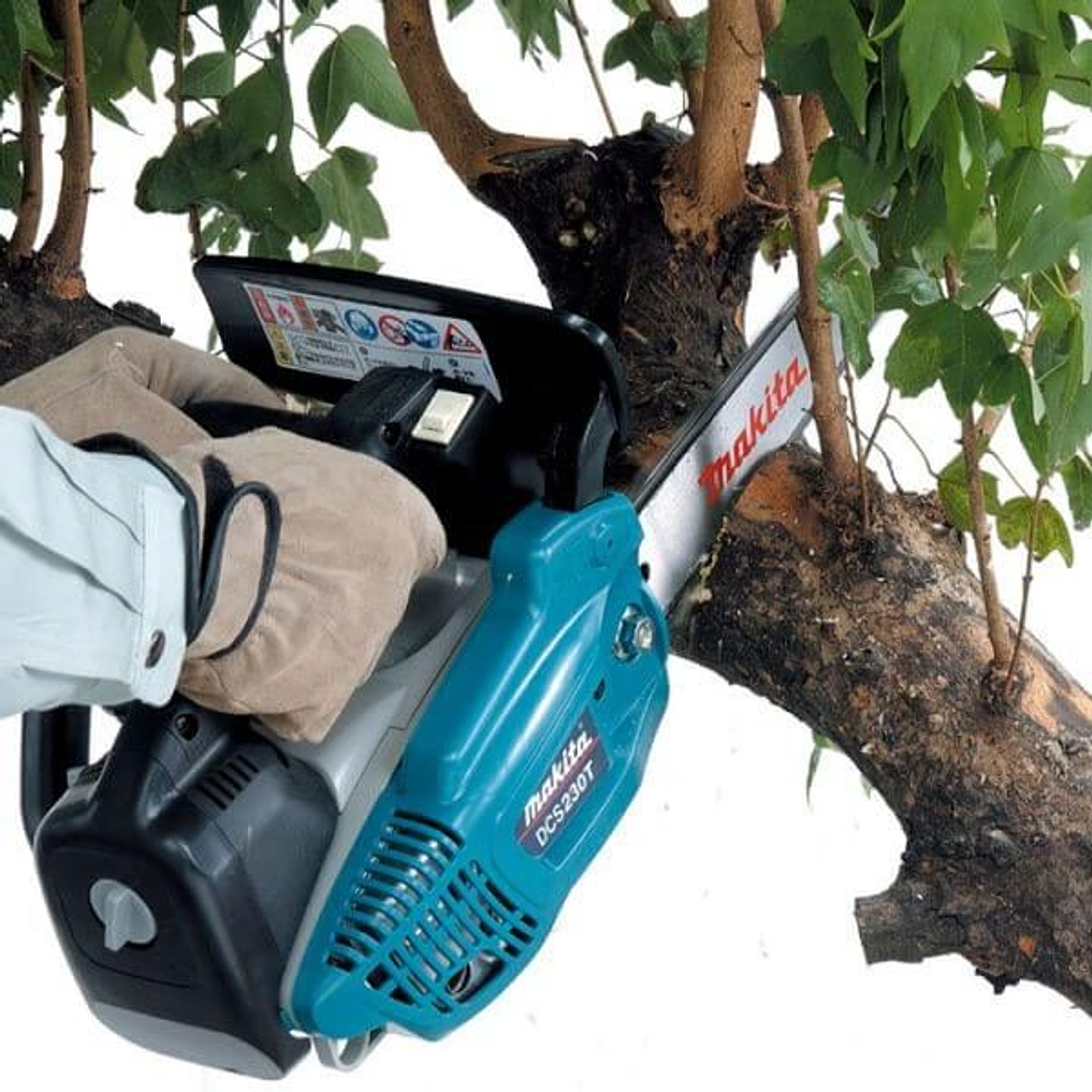 Motosierra de Poda Makita DCS230T 2