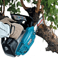 Motosierra de Poda Makita DCS230T - Miniatura 2