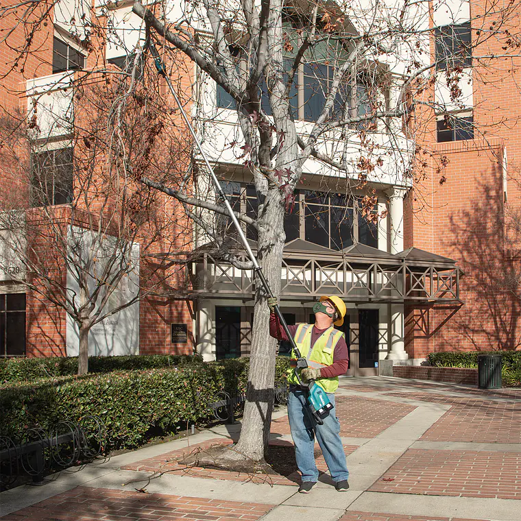 Podador de Altura Inalámbrico Makita mod: DUA300PT2-1 2