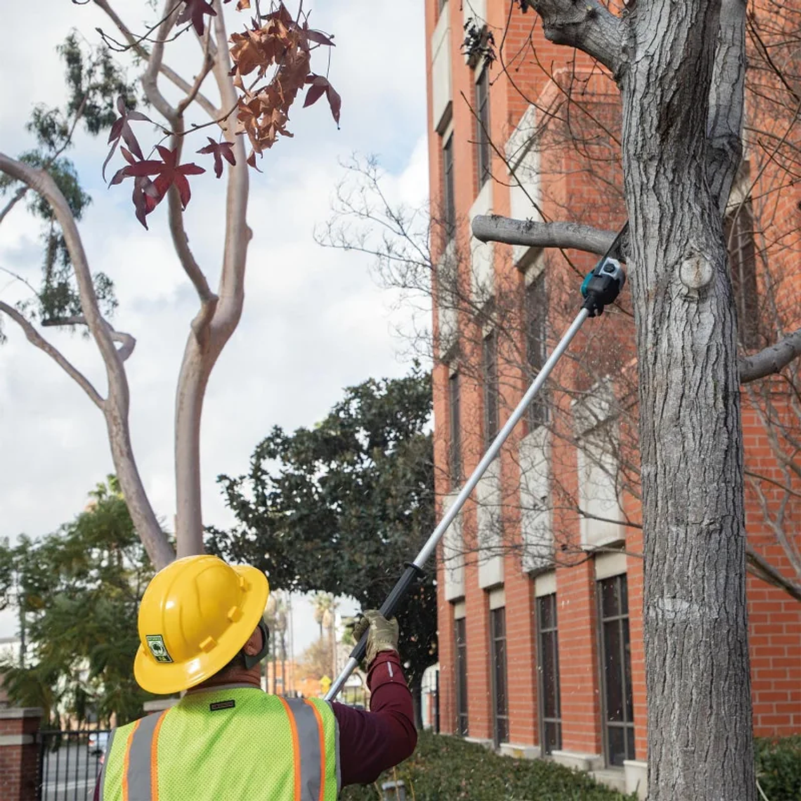 Podador de altura Inal. Makita DUA300PT2 3