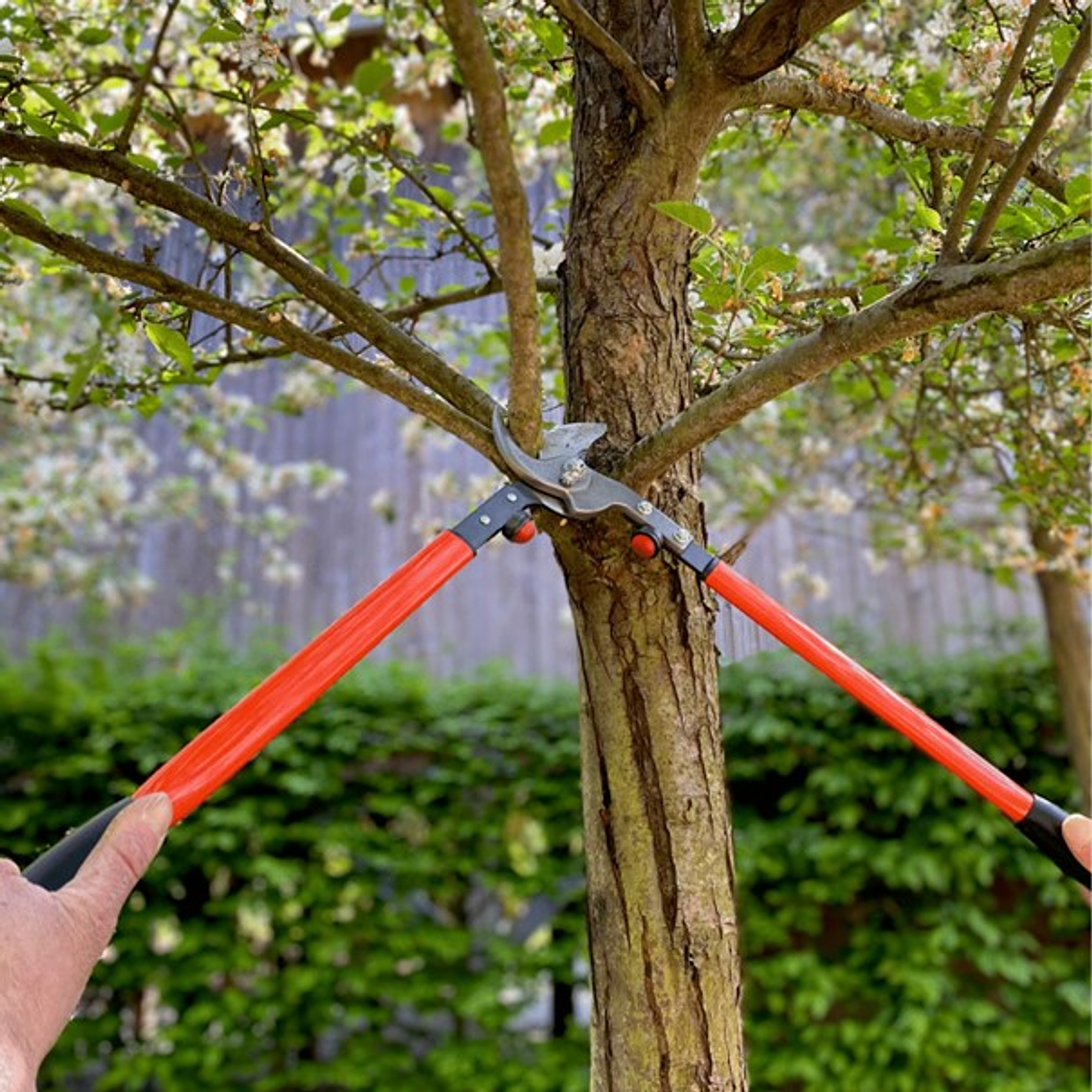 Tijerón profesional corte by-pass con mango de acero P16-60-P4-20 Bahco 4