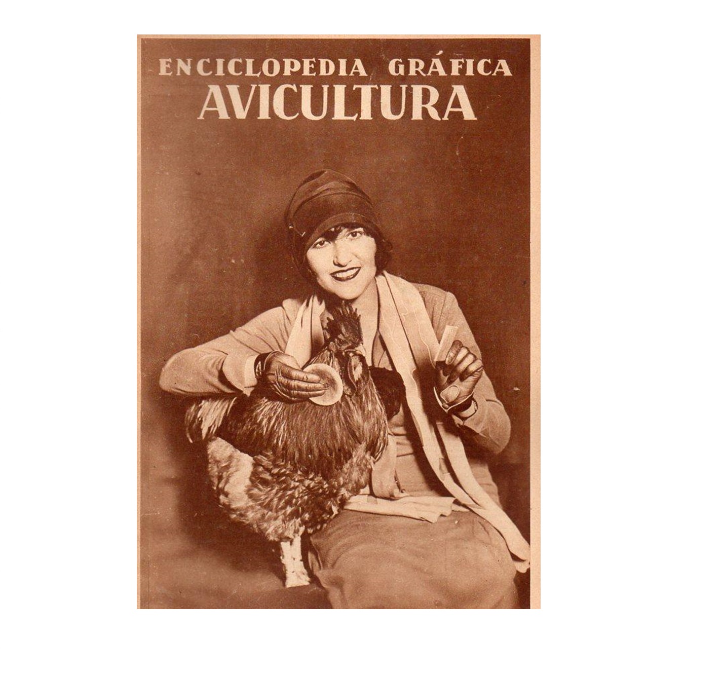 Avicultura.