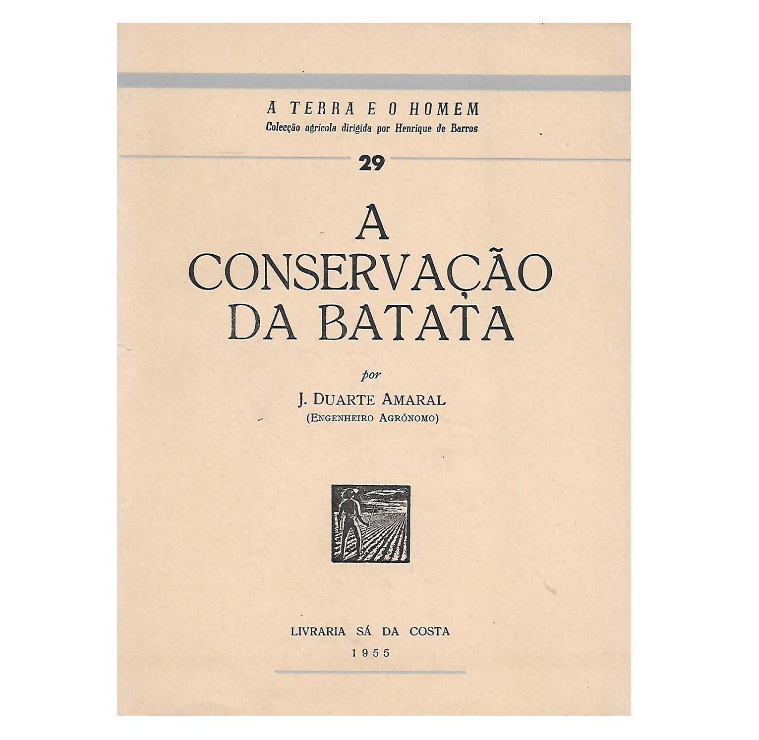 CONSERVAÇÃO DA BATATA