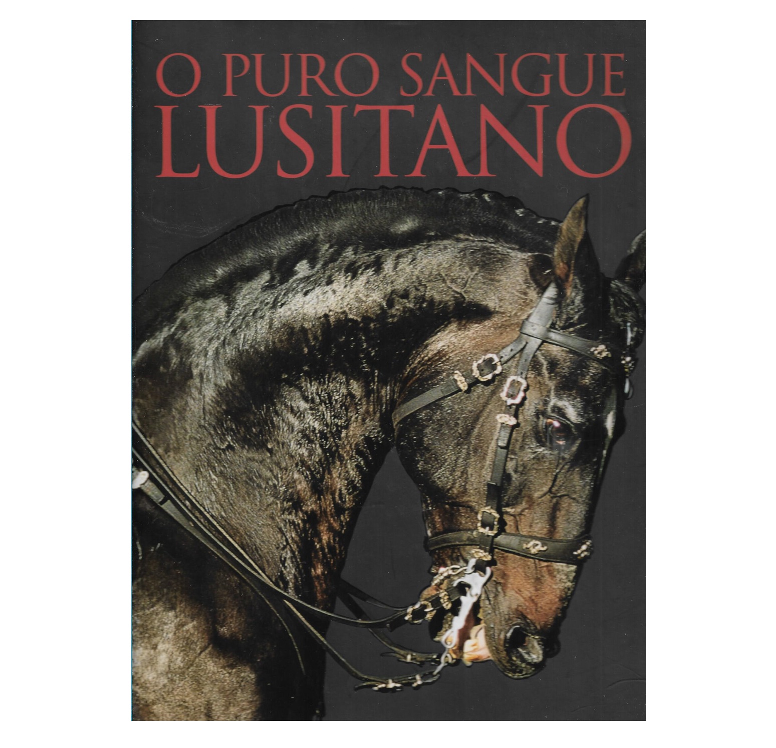 O PURO SANGUE LUSITANO