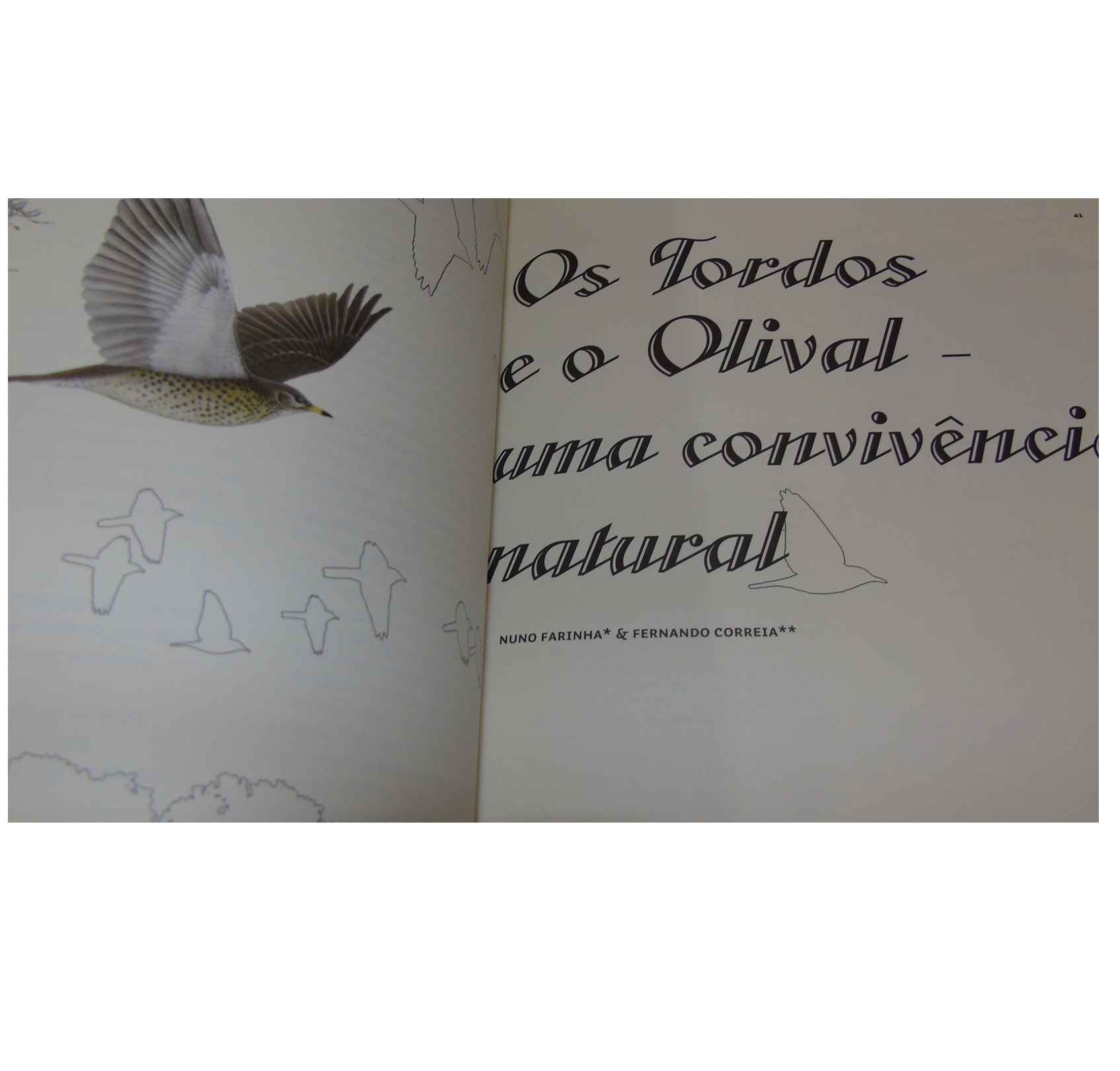 REVISTA DO MUSEU DA OLIVEIRA E DO AZEITE MIRANDELA. Nº 3 