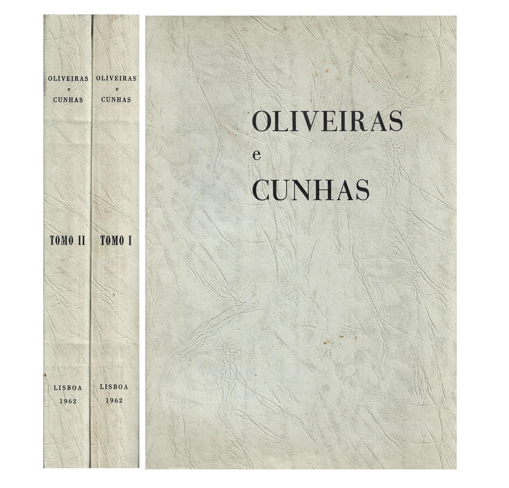 OLIVEIRAS E CUNHAS DA «CASA DO OUTEIRO»