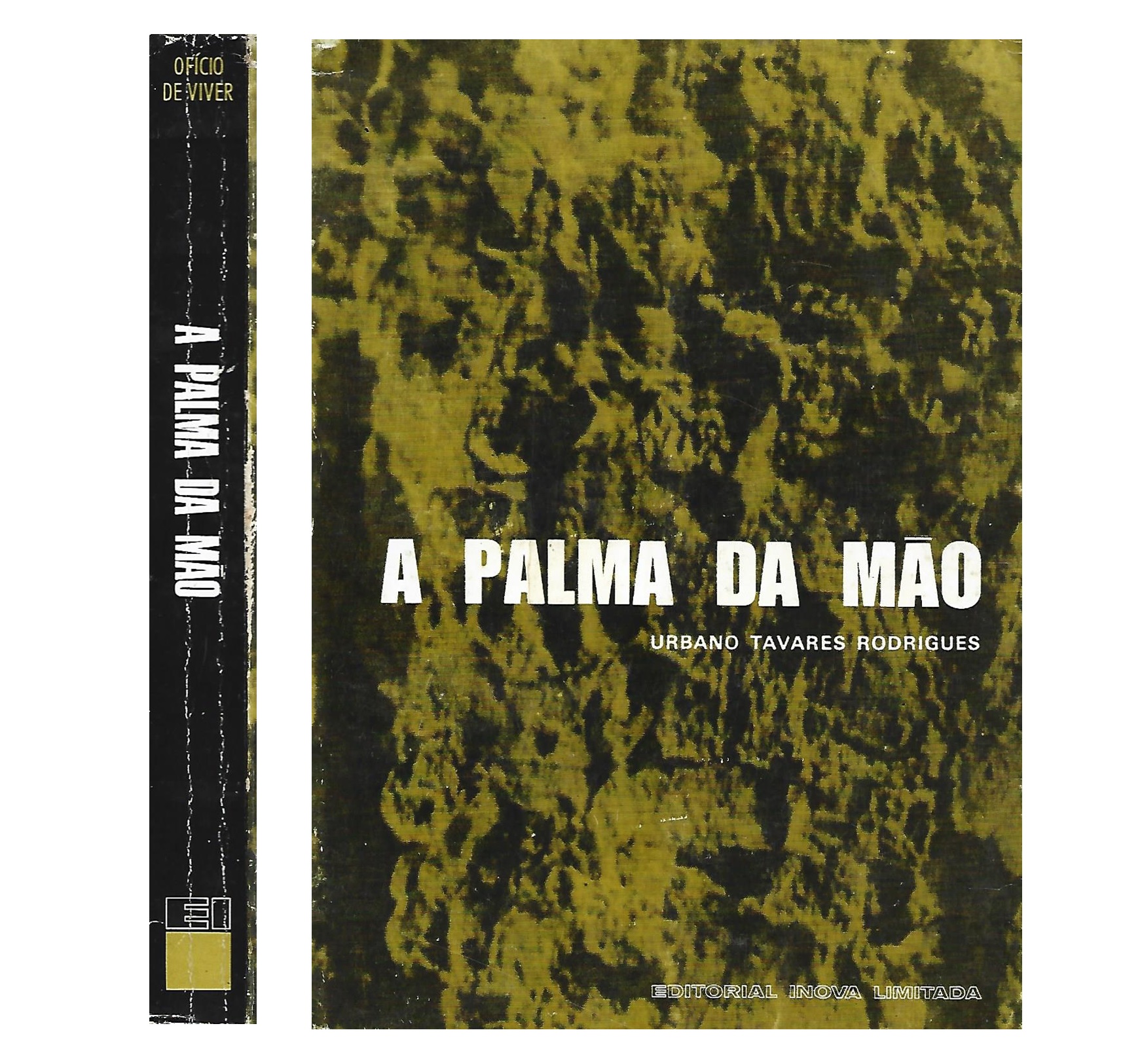 A PALMA DA MÃO