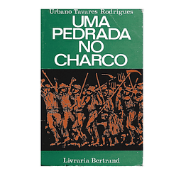 UMA PEDRADA NO CHARCO