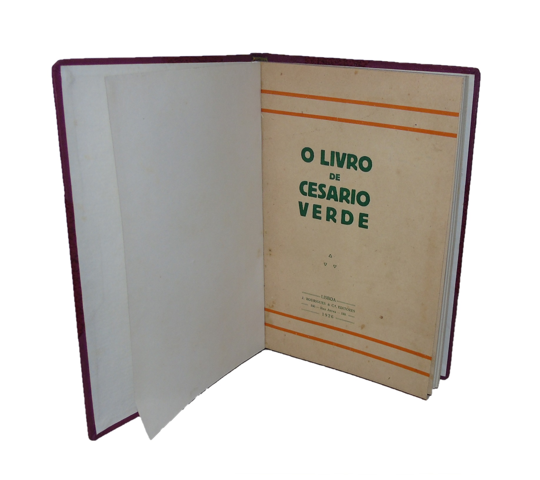 O LIVRO DE CESÁRIO VERDE 1873-1886