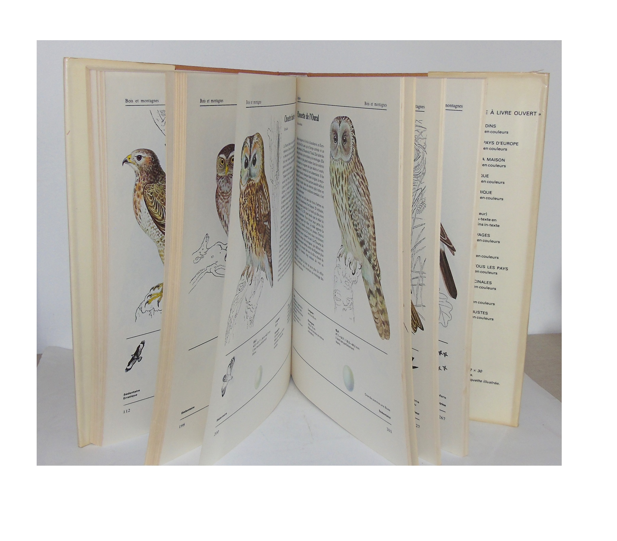 OISEAUX DES PAYS D'EUROPE