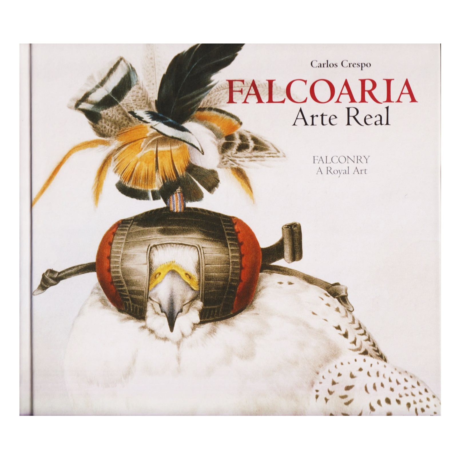 FALCOARIA: ARTE REAL