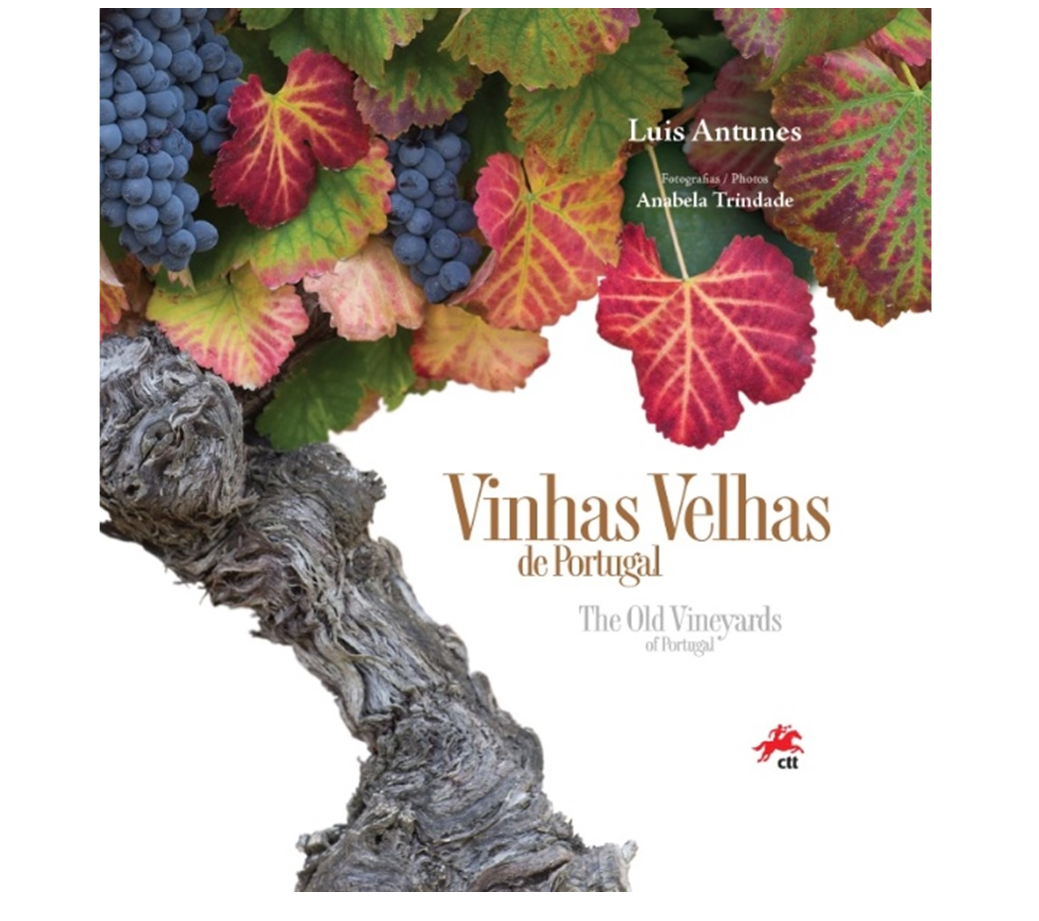 VINHAS VELHAS DE PORTUGAL