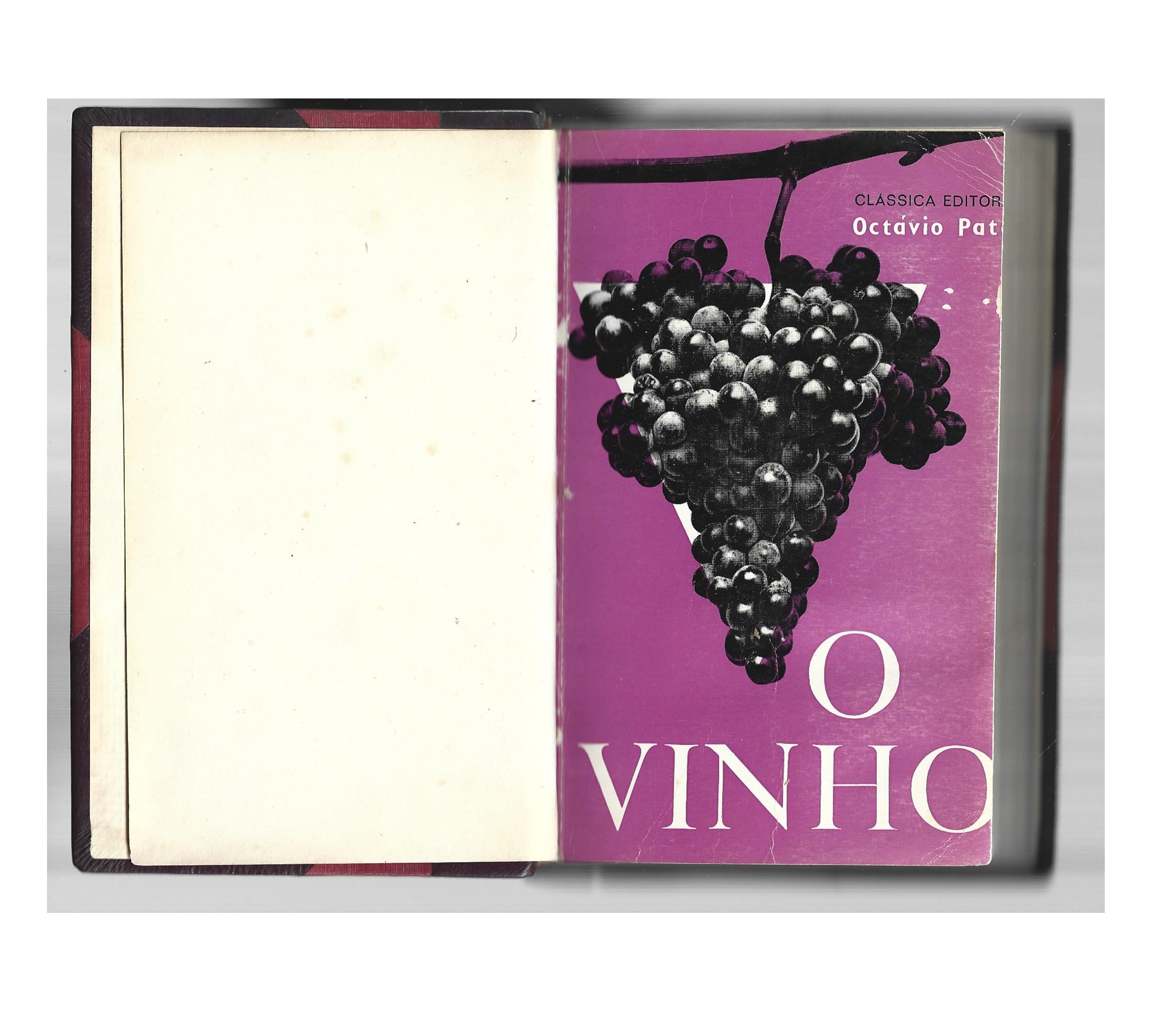 O VINHO: MÉTODOS MODERNOS DE FABRICO, TRATAMENTO E CONSERVAÇÃO