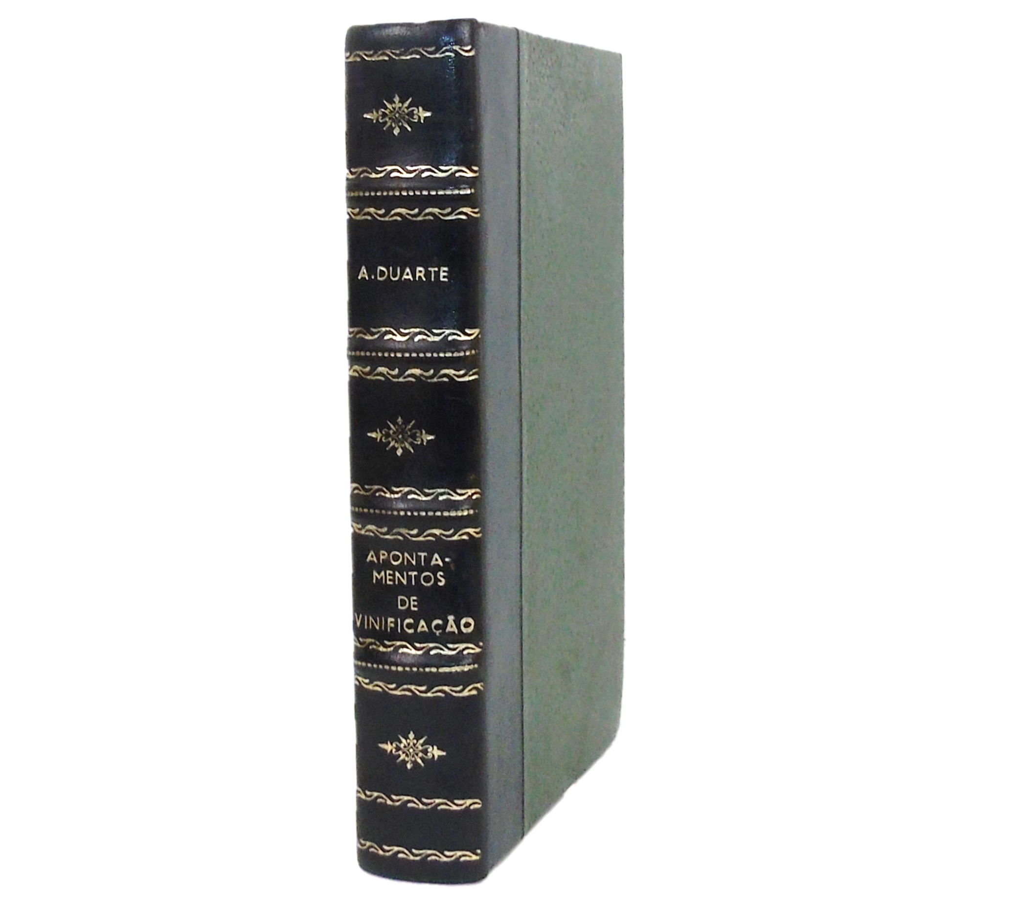 APONTAMENTOS DE VINIFICAÇÃO