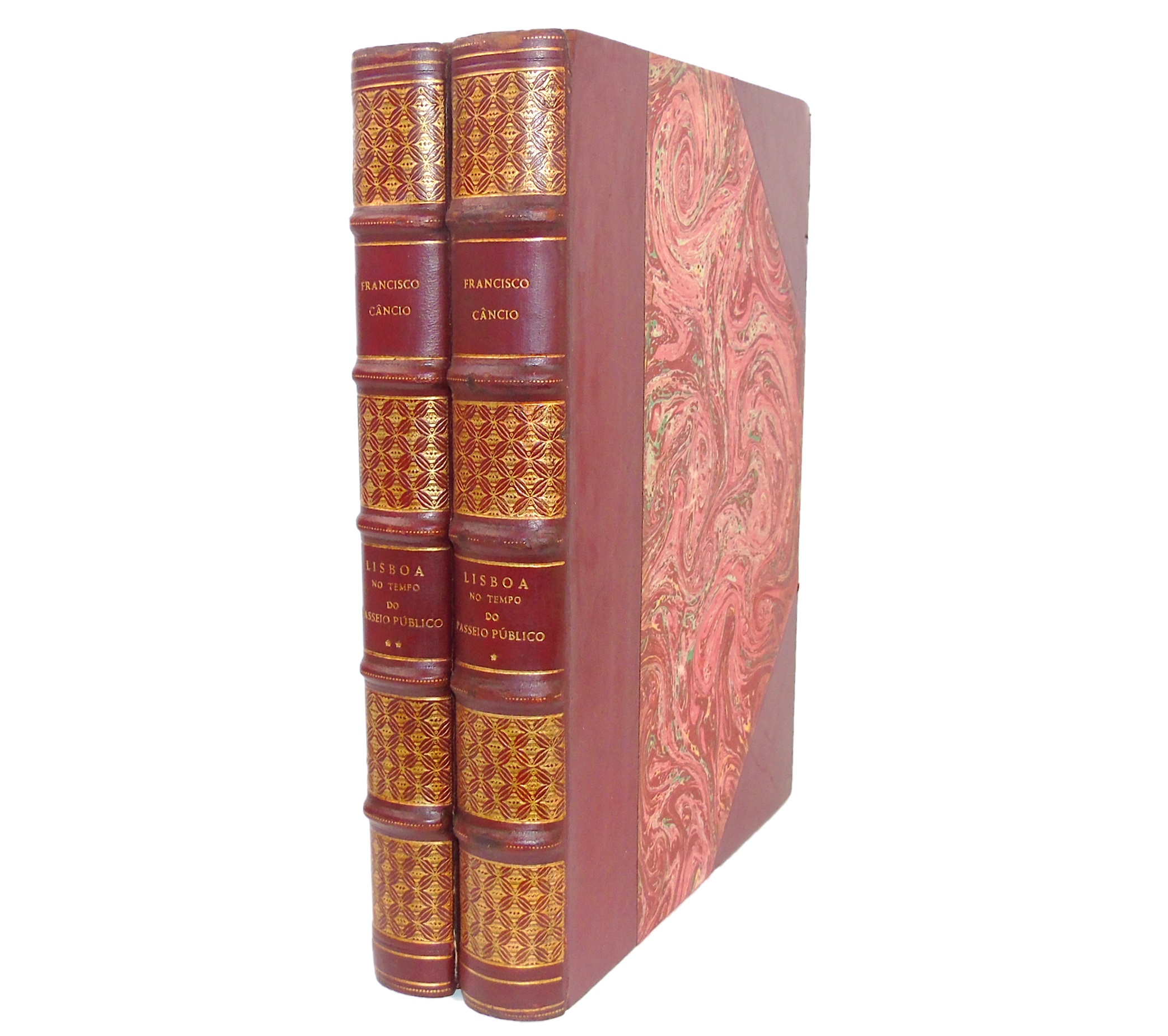 LISBOA NO TEMPO DO PASSEIO PÚBLICO