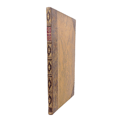 PROBLÉMES DES PRIMITIFS PORTUGAIS