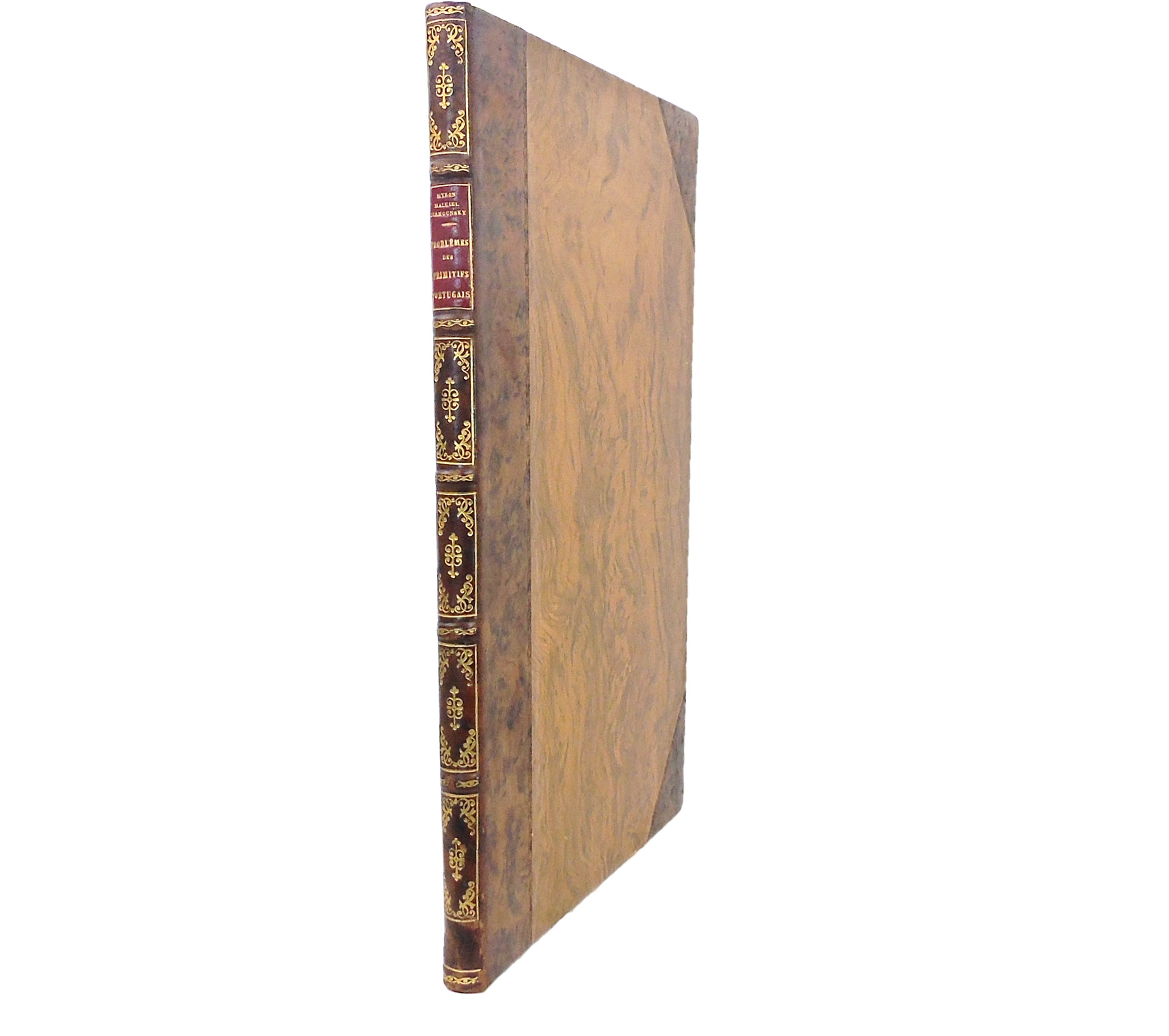 PROBLÉMES DES PRIMITIFS PORTUGAIS