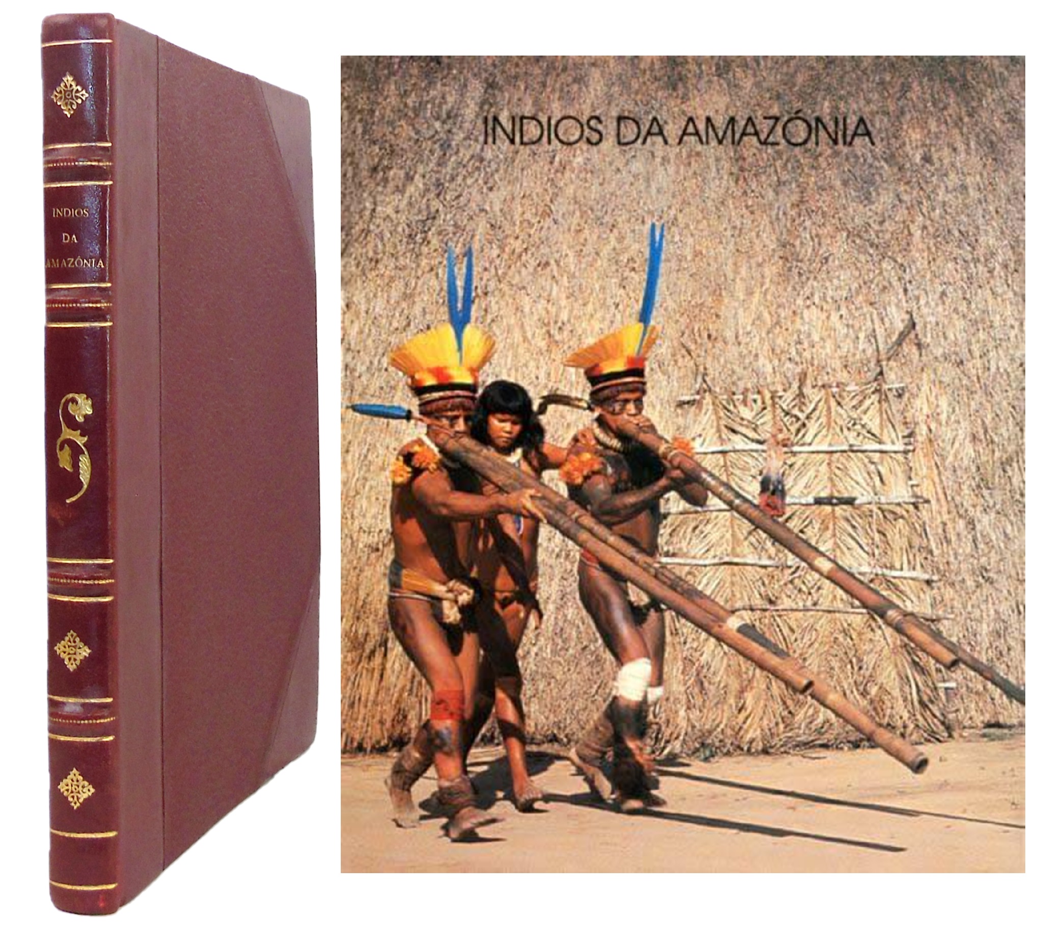 ÍNDIOS DA AMAZÓNIA