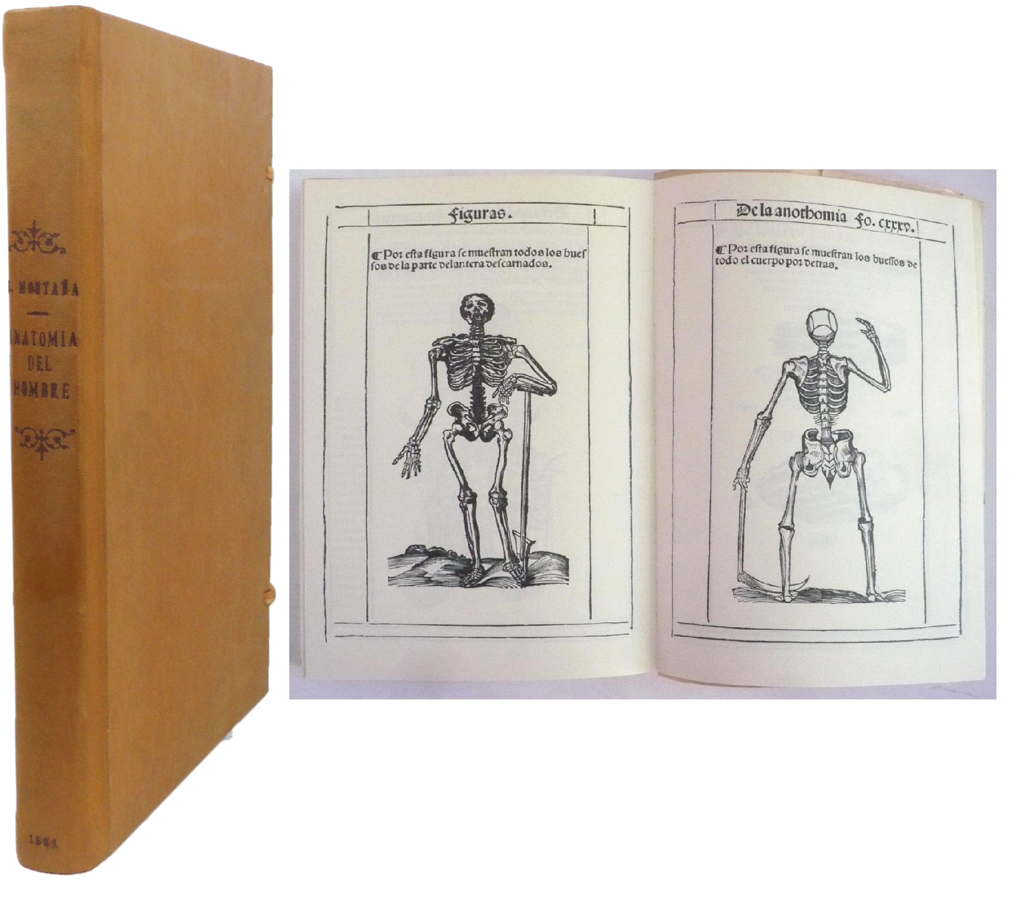 LIBRO DE LA ANOTHOMÍA DEL HOMBRE