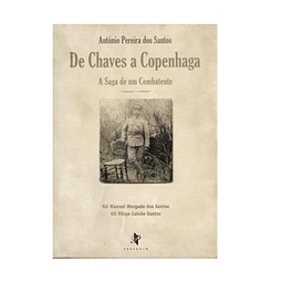 1ª GUERRA [A SAGA DE UM COMBATENTE]