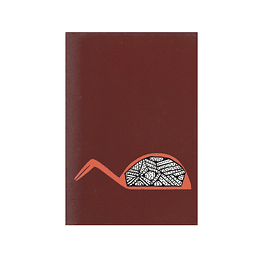 ARTE DO ÍNDIO BRASILEIRO 