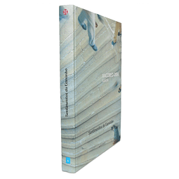 SENTIMENTOS DO CAMINHO. XACOBEO 2004