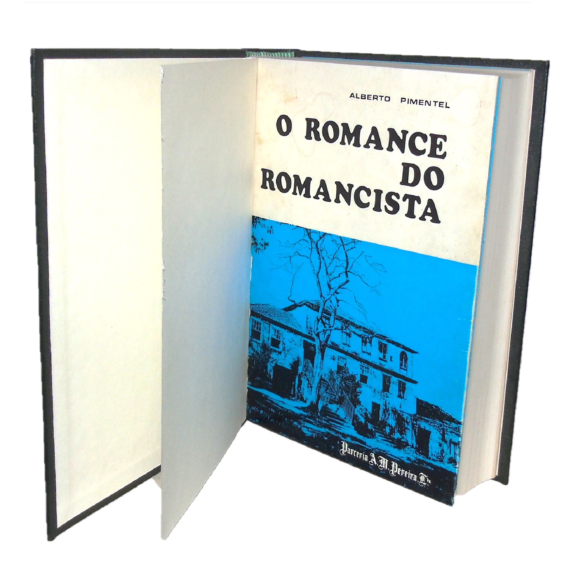 O ROMANCE DO ROMANCISTA