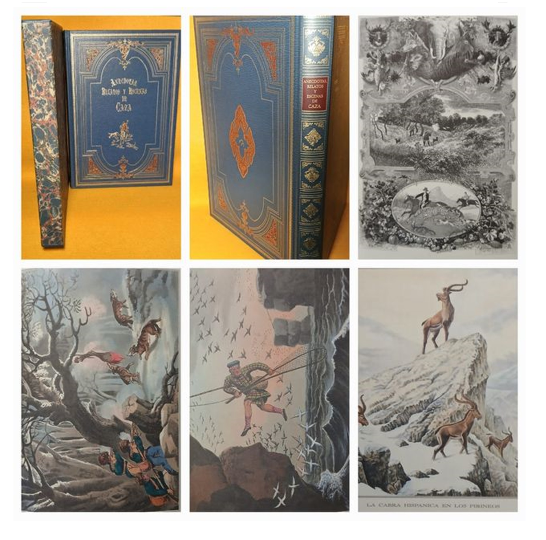 ANECDOTAS, RELATOS Y ESCENAS DE CAZA