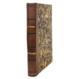 JOSÉ ESTEVÃO: ESBOÇO HISTÓRICO