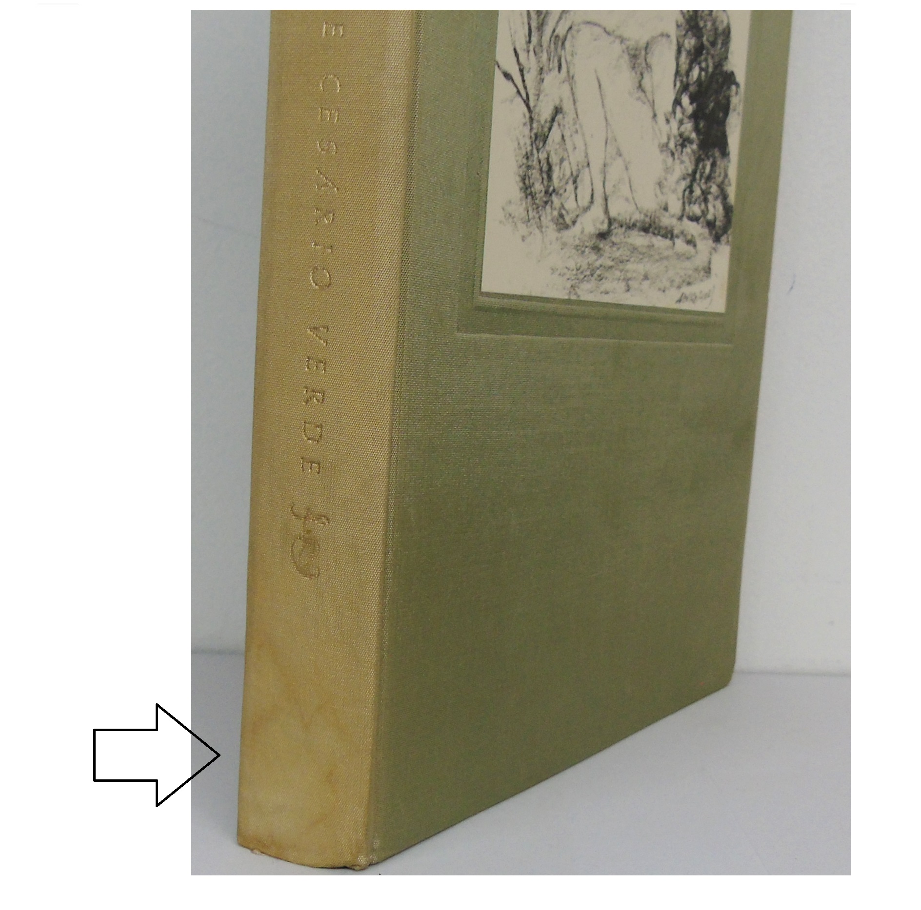 O LIVRO DE CESÁRIO VERDE [ED. LUXO]