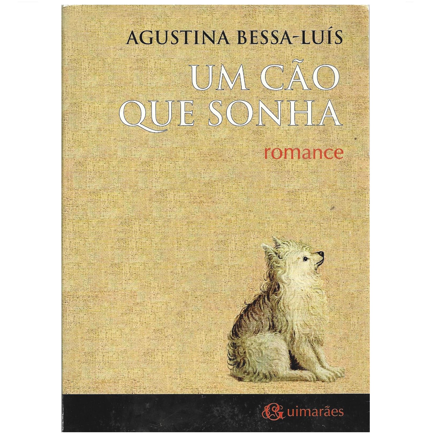 UM CÃO QUE SONHA. ROMANCE.