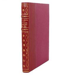 A TRISTE CANÇÃO DO SUL