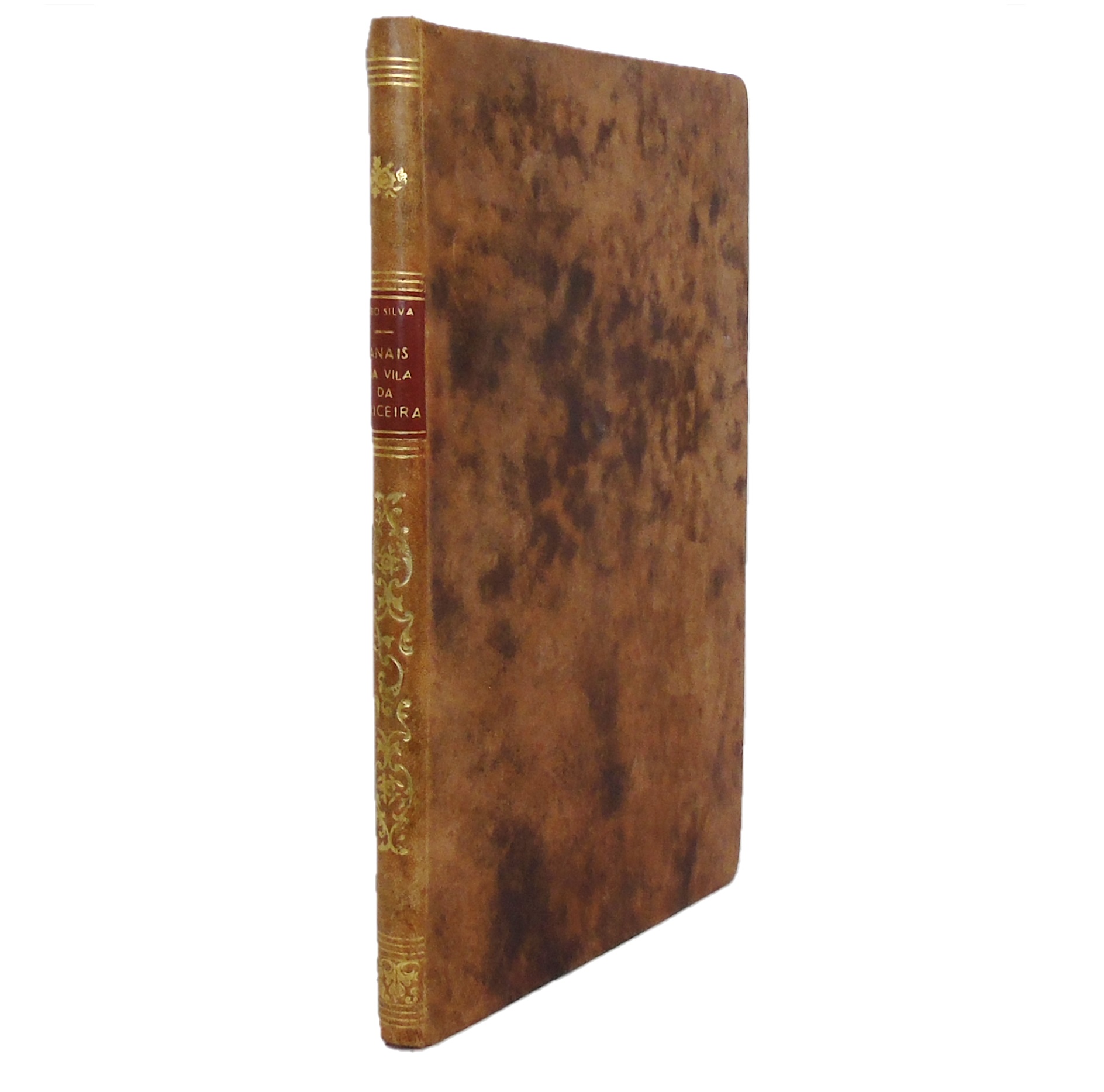 ANAIS DA VILA DA ERICEIRA