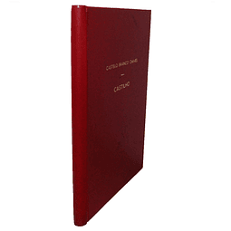 CASTILHO: ALGUNS ASPECTOS VIVOS DA SUA OBRA