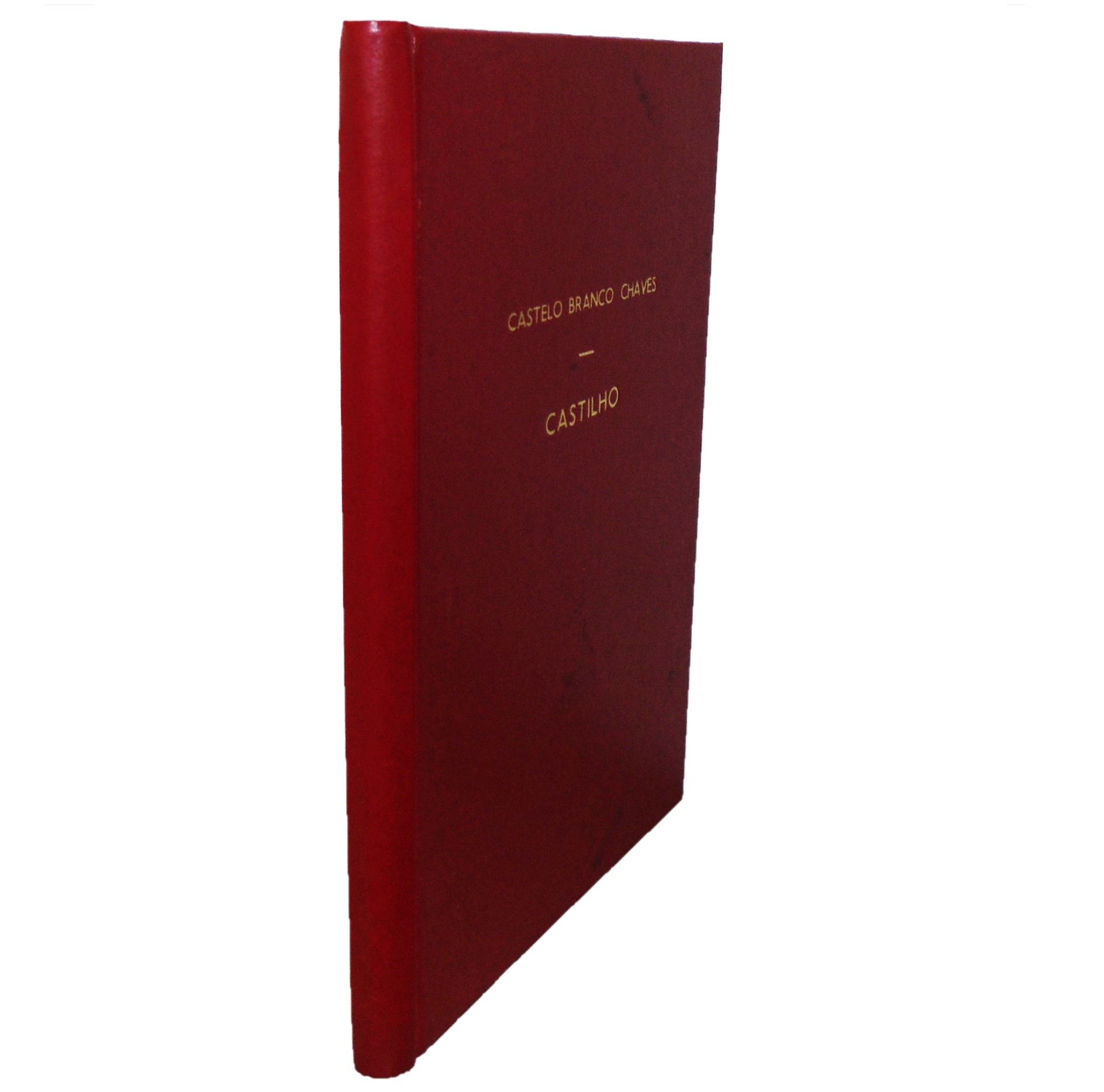 CASTILHO: ALGUNS ASPECTOS VIVOS DA SUA OBRA