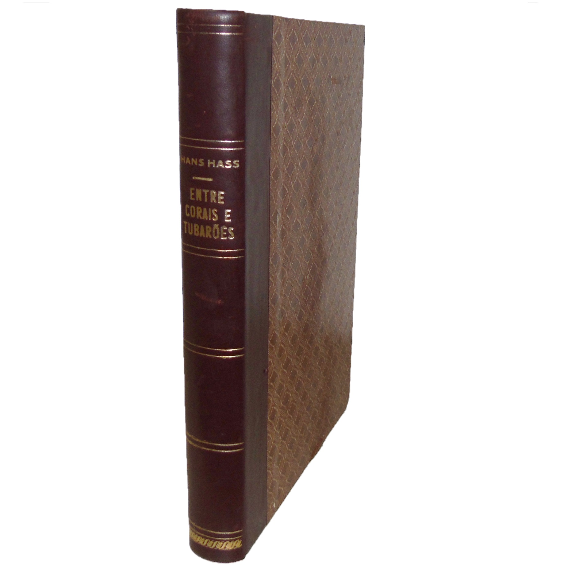 ENTRE CORAIS E TUBARÕES: AVENTURA NO MAR DAS CARAÍBAS