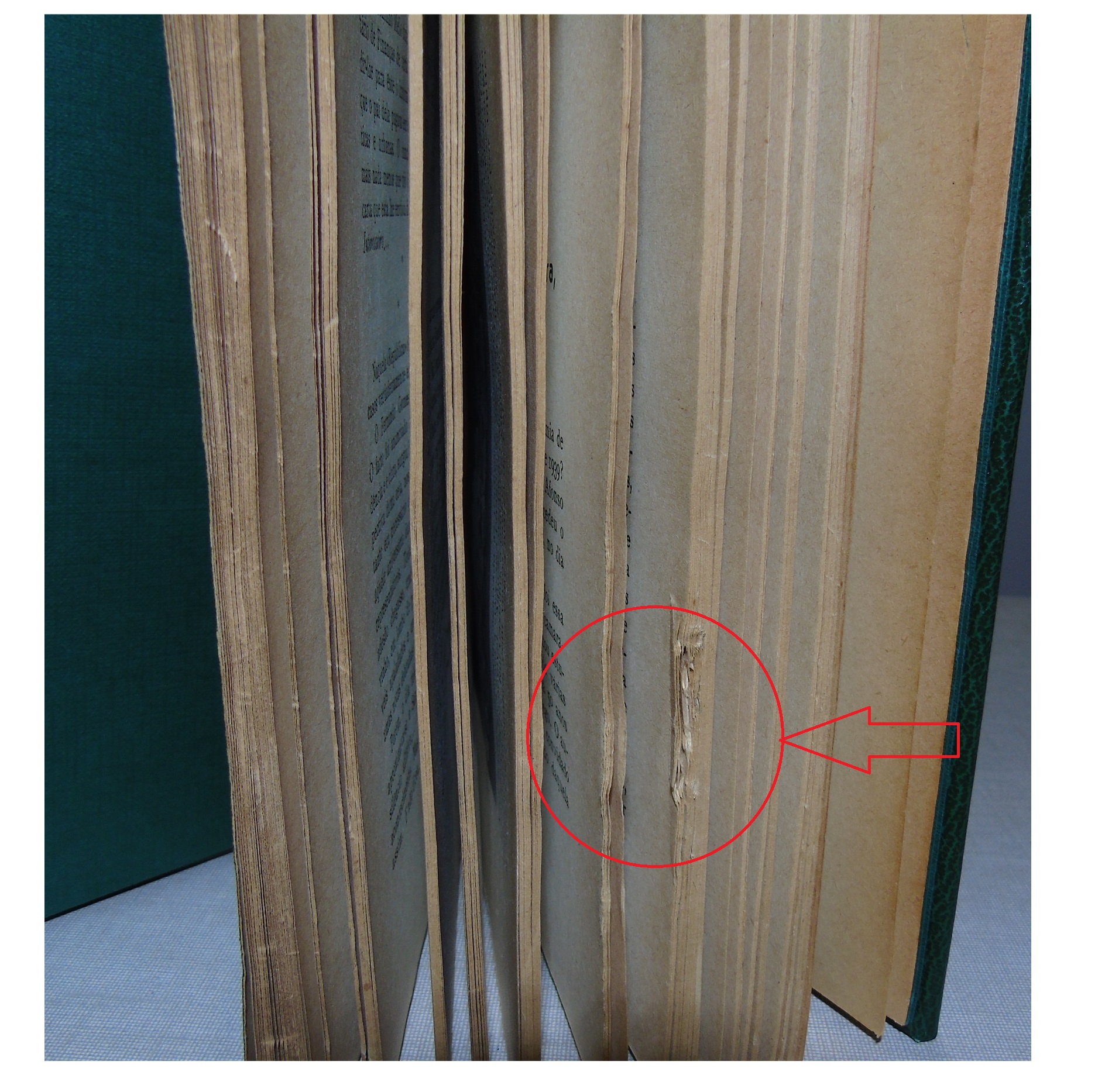 COIMBRA DE CAPA E BATINA