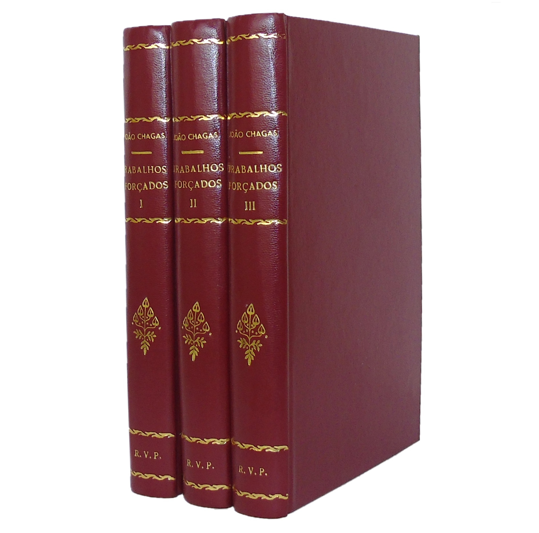 JOÃO CHAGAS: TRABALHOS FORÇADOS