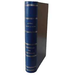 JORNADAS EM PORTUGAL (1918)