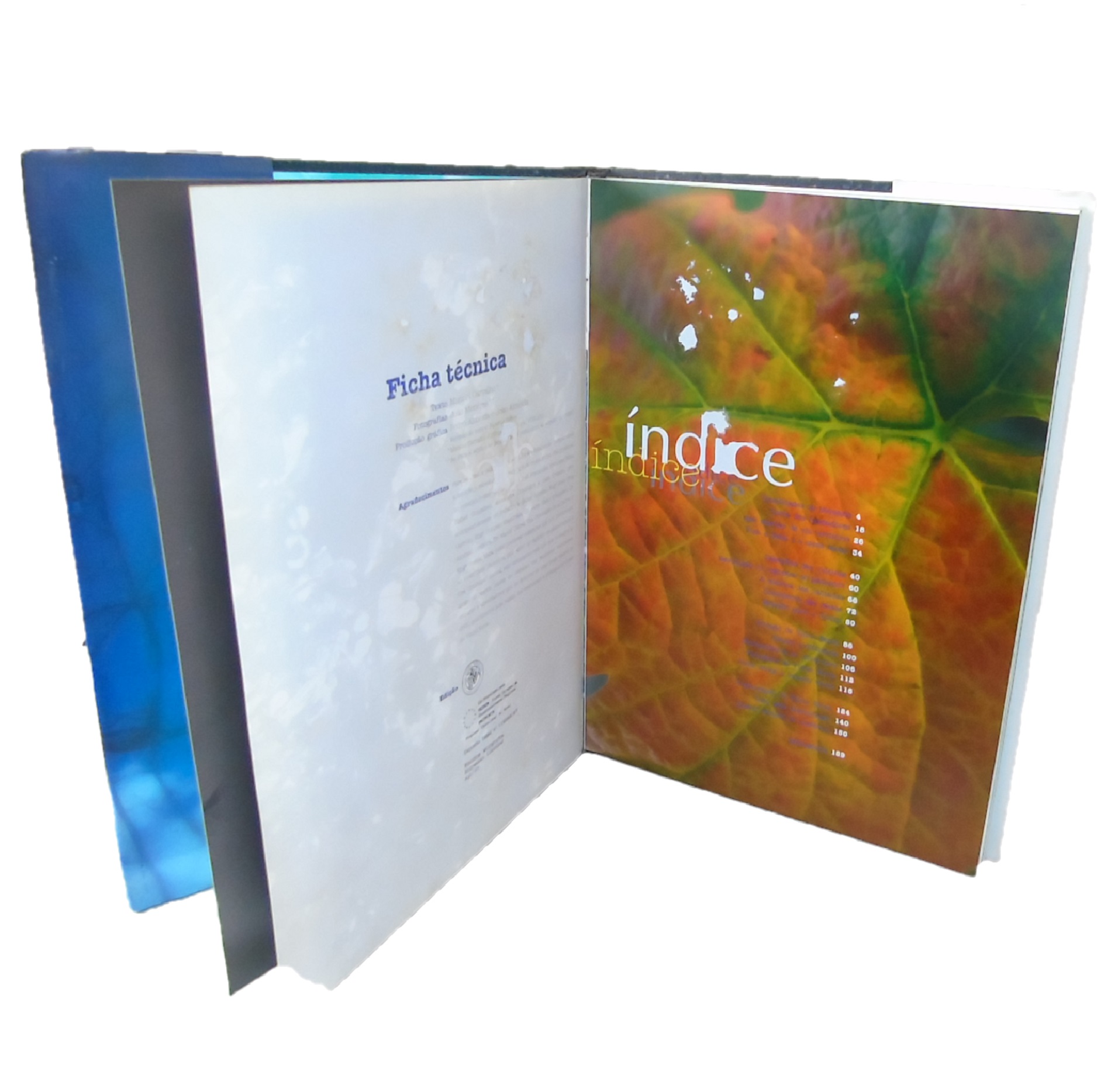 CORES DO VINHO VERDE